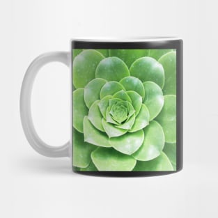 Plant print, Cactus print, Succulent, Scandinavian print, Trendy print, Styled, Pillow, Modern art, Wall art, Print, Minimalistic, Modern Mug